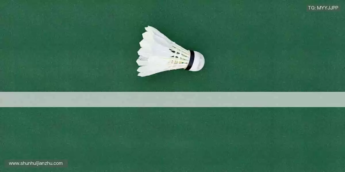 🎯 周边装备，让热爱触手可及！